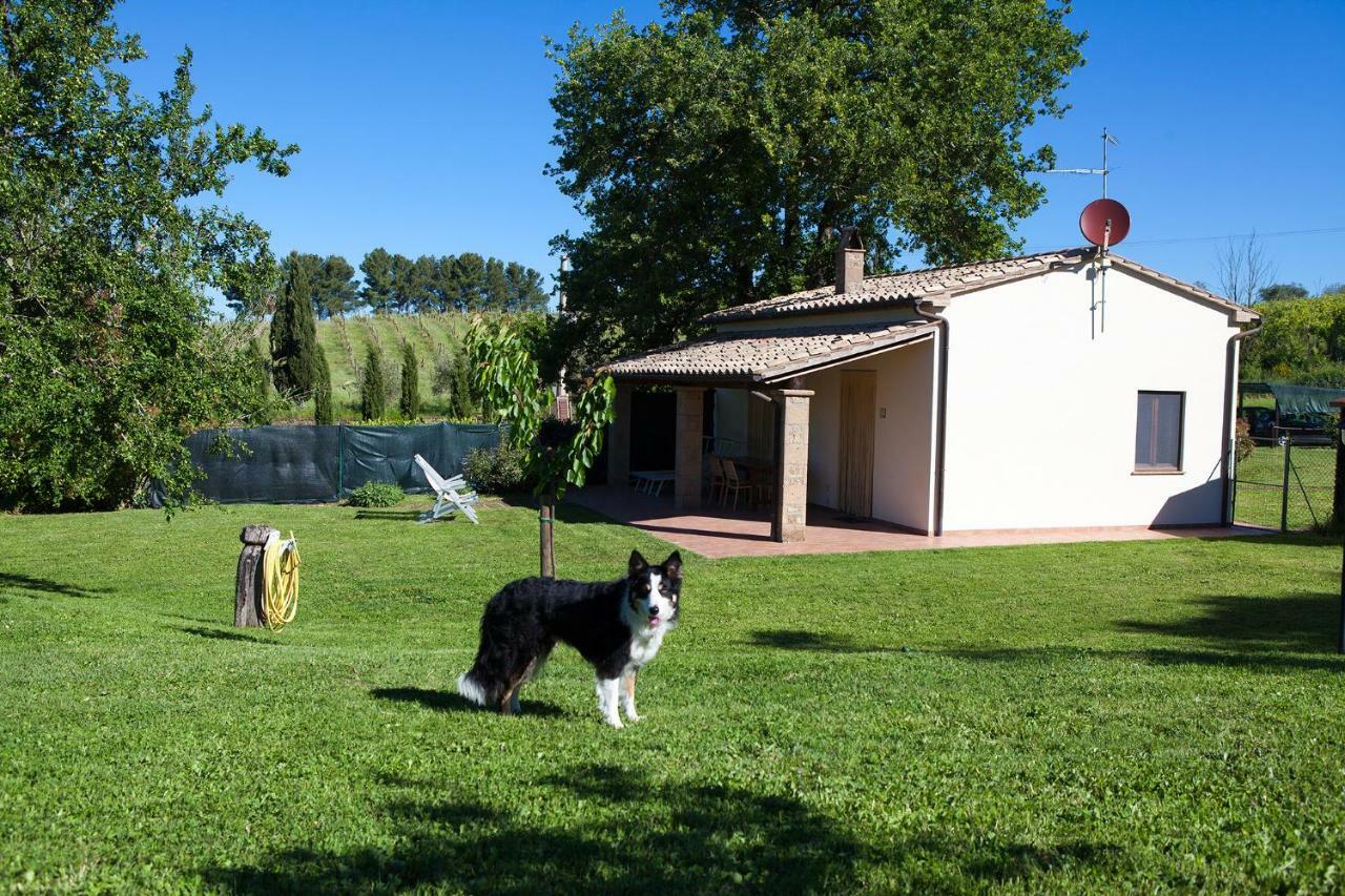 Вілла Casa Marta Пітільяно Номер фото